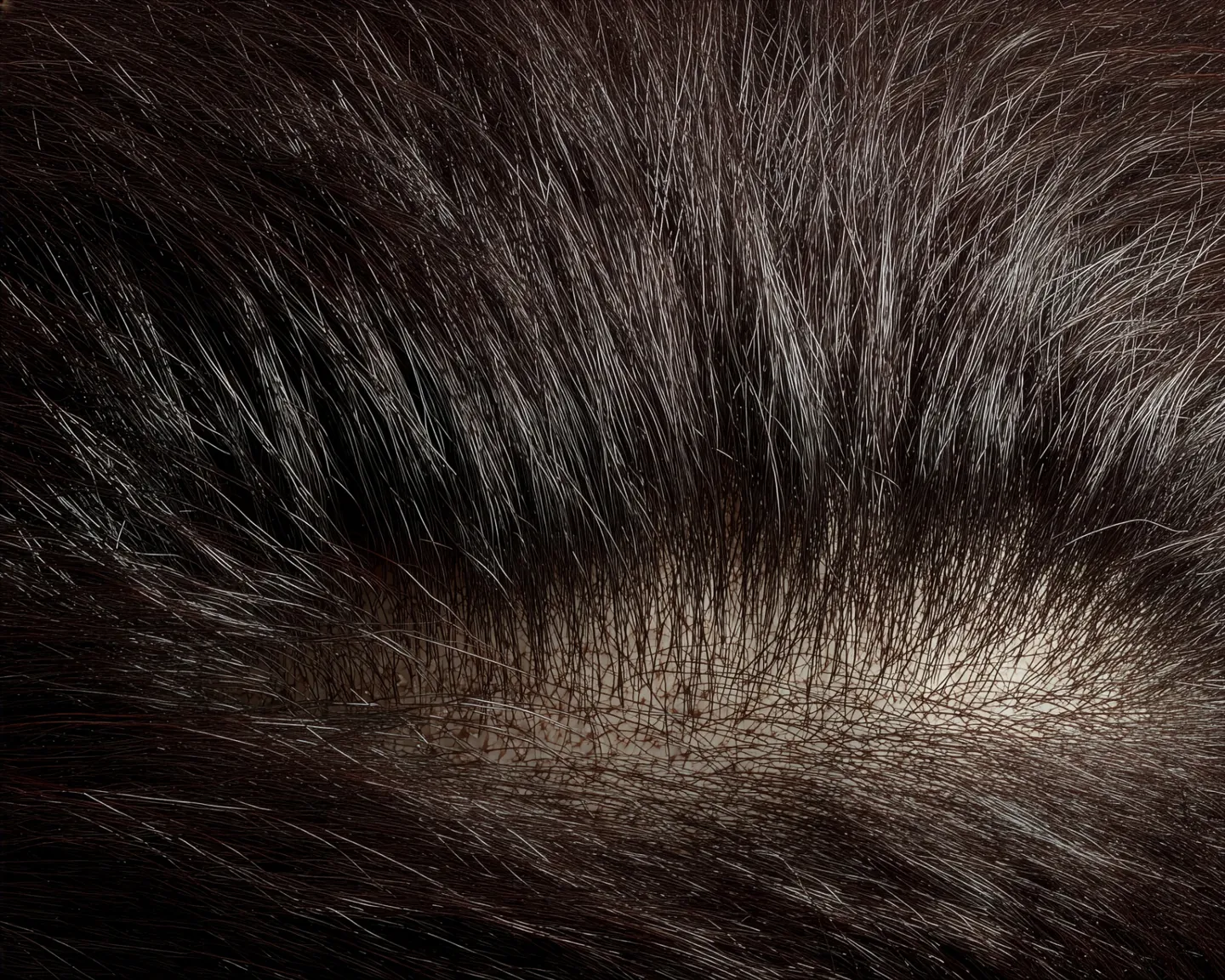 Close-up van dunner wordend haar op de kruin